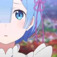 初春の蕾姆